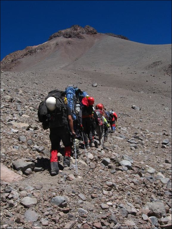 IMG_8516 Log 5 team line (Large)