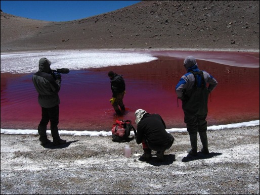 IMG_8679 Log 5 sampling (Large)