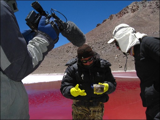 IMG_8682 Log 5 lake algae (Large)